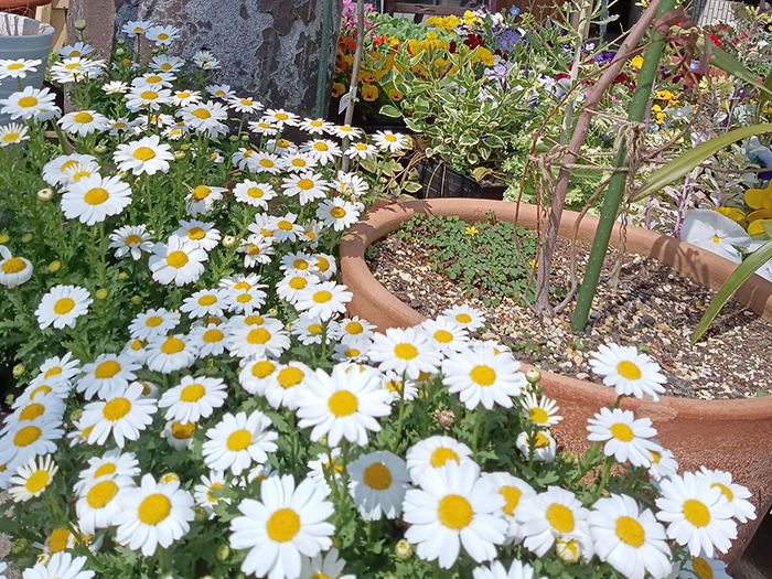 もみほぐしのお店　三休