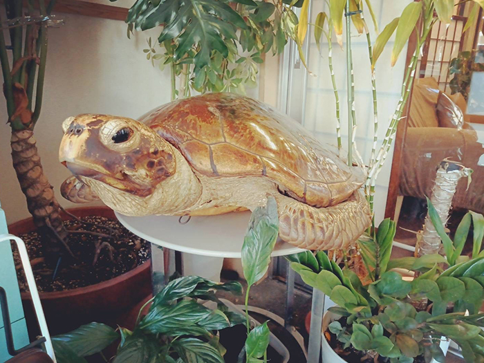 もみほぐしのお店　三休