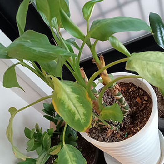 もみほぐしのお店　三休