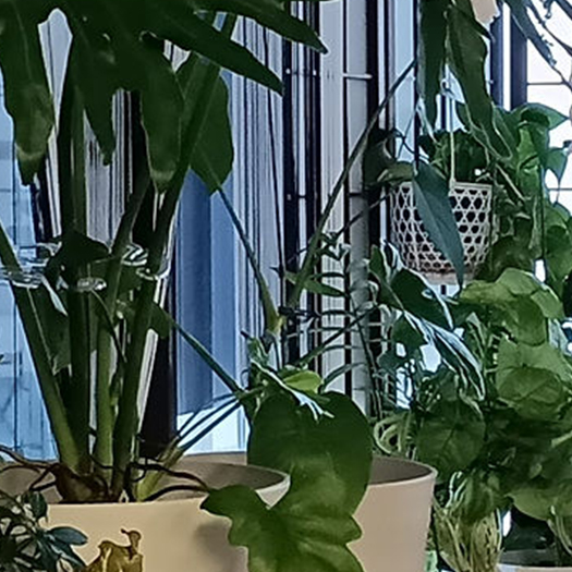 もみほぐしのお店　三休